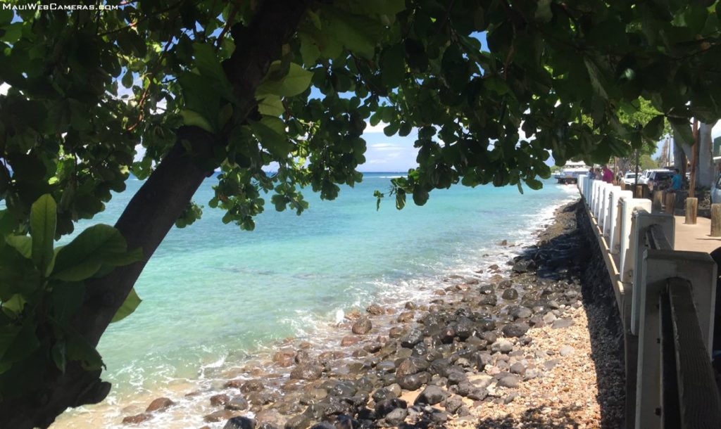 8 Reasons Why You Should Stay in Lahaina