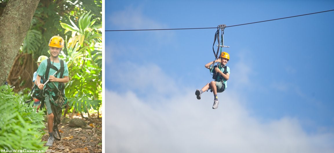 Maui Zipline Company A Perfect Day with Kids!