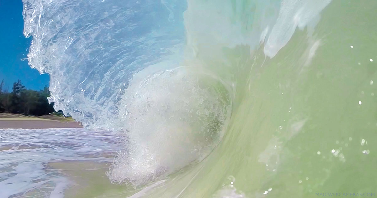 Maui tsunami cameras