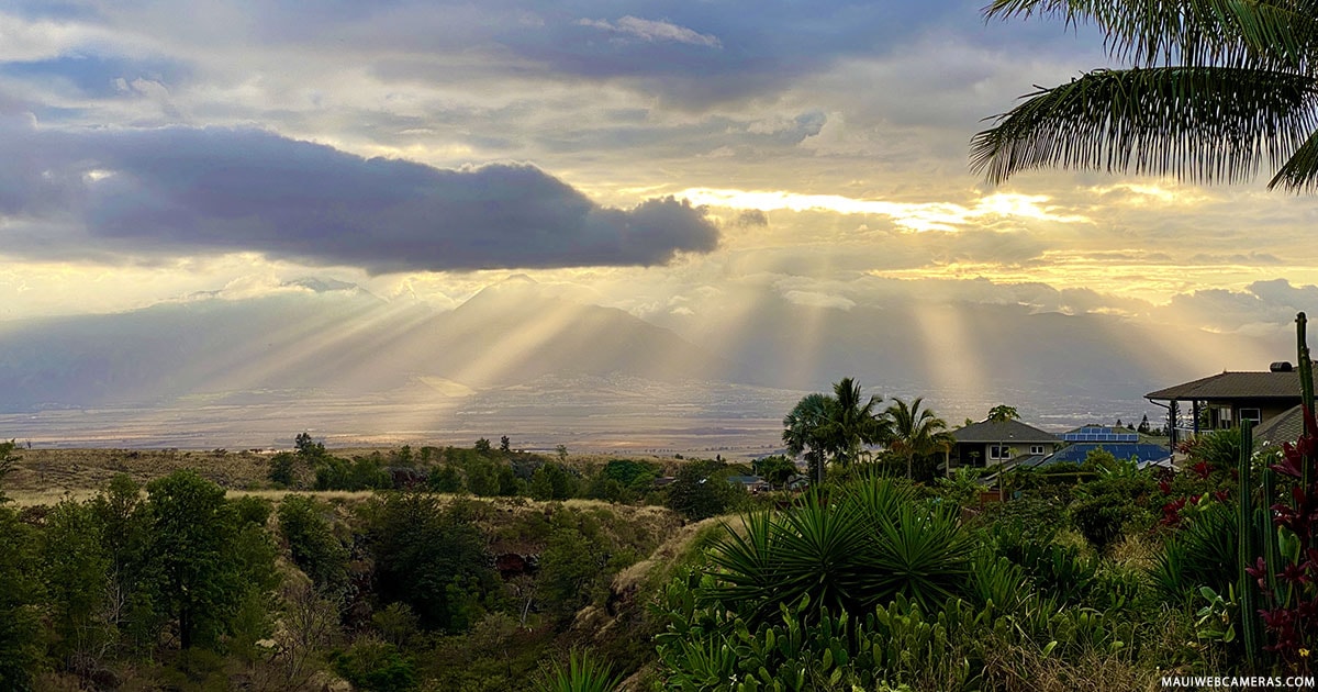 Maui Web Cameras Live HD Footage from webcams in Maui, Hawaii