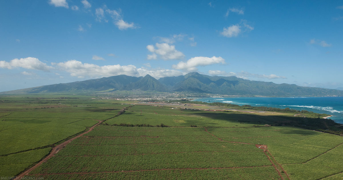 How To Explore Maui Maui  Cameras
